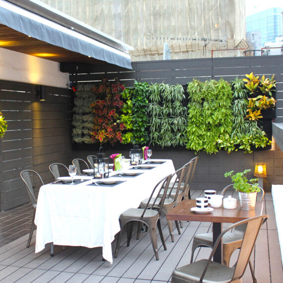 Rooftop-Garden[1]