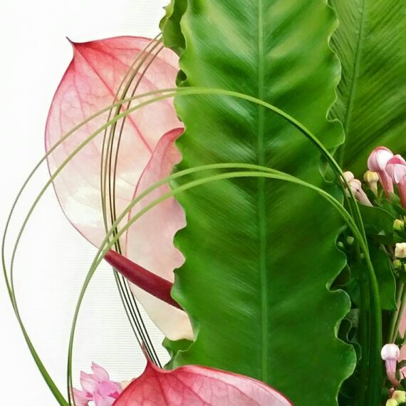 11221478_899951423384622_6126120809335165364_n